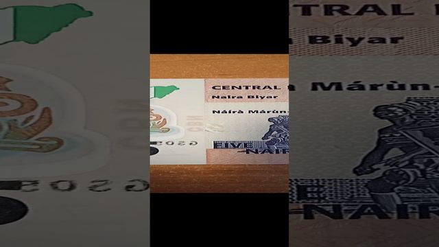 Полимерная банкнота 5 найра Нигерия