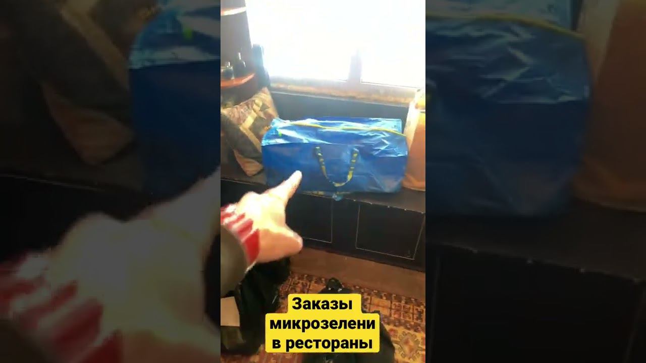 Собрал заказы микрозелени в рестораны! Продажа микрозелени в рестораны