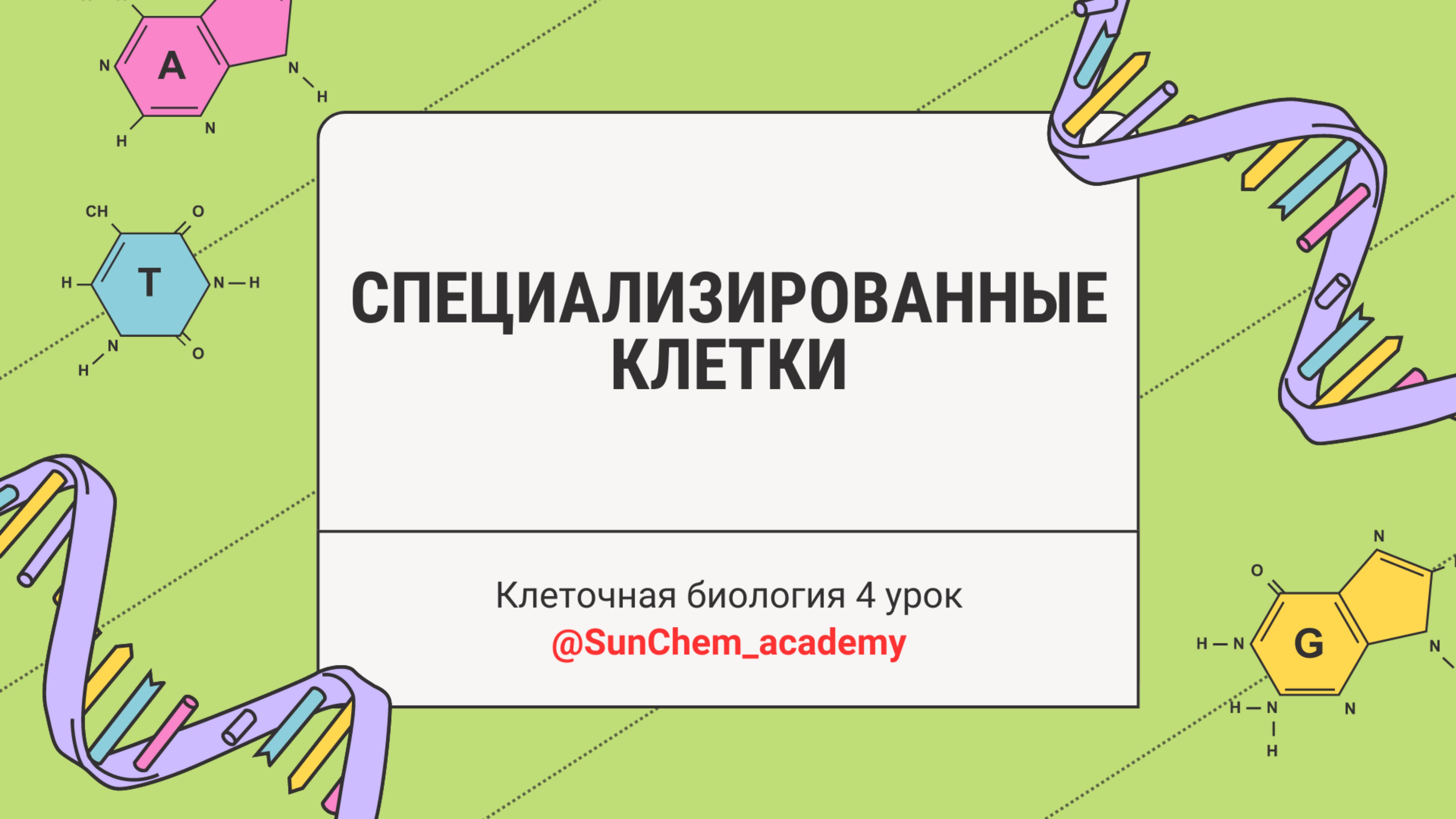 4-урок. Специализированные растительные и животные клетки.