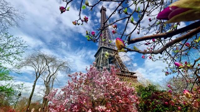 Музыка для души #29/Париж/Music for the soul #29