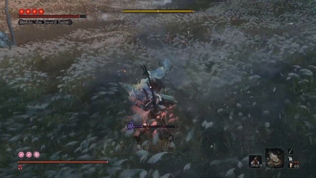 "git gud" | Sekiro LMTSR Hardcore mod