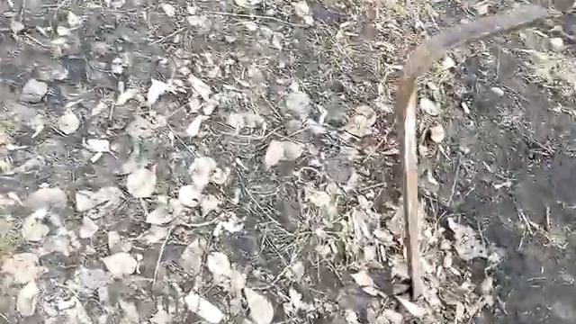 Я первый раз снимаю на улице!!!!!