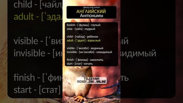 ???ОБУЧЕНИЕ АНГЛИЙСКОМУ ЯЗЫКУ?Английский для начинающих