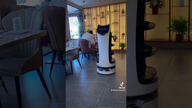 Робот-официант в японском кафе