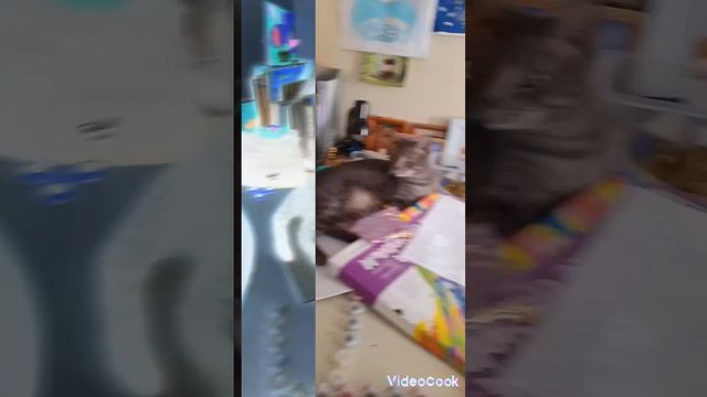 про После дождичка в четверг