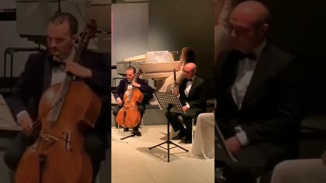 Final of 'Carnival of the Animals' by C. Saint-Saens Финал "Карнавал животных" К. Сен-Санса