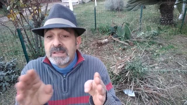 BRUCIARE LA POTATURA