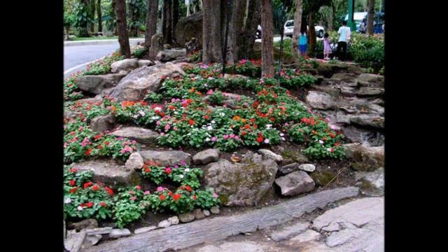 Ландшафтный дизайн. Альпийские горки, рокарии в саду.Rockeries in the garden