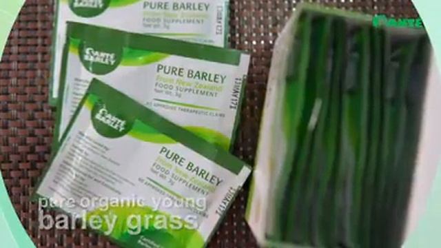 Nutrition Essentials (sante pure barley juice)
