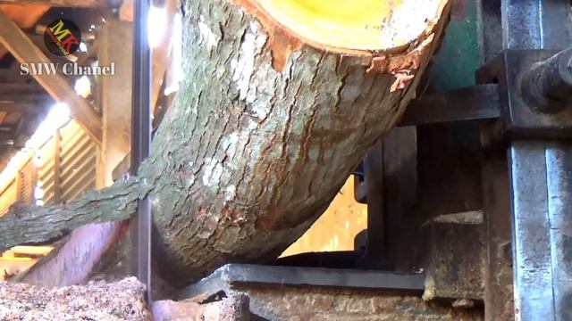 kayu cantik ini siap banjiri pulau madura yang haus akan bahan kayu mahoni.sawmil