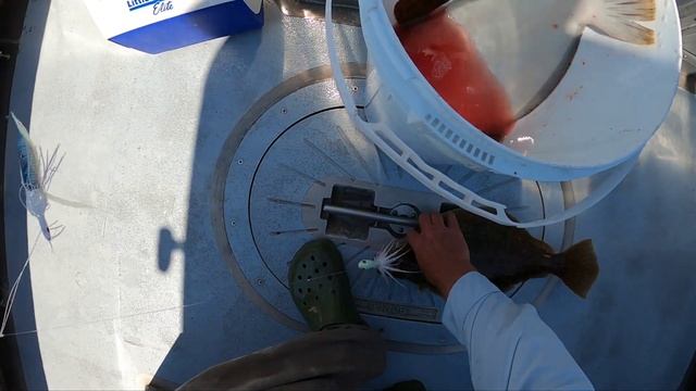 Casting vs Spinning Gear For Jig Fishing - Which is Better?