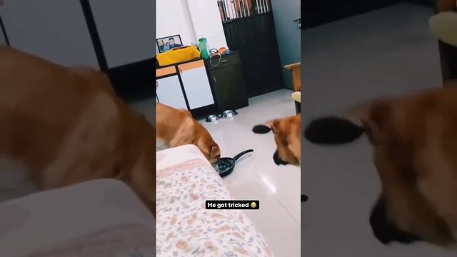 Отвлекающий моневр )))))))))) ??