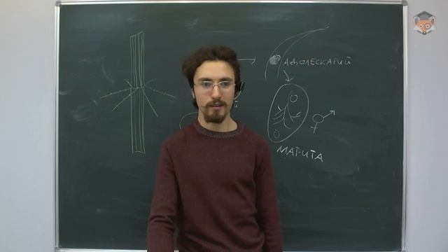 ОГЭ по биологии 2017 | Мастер-класс