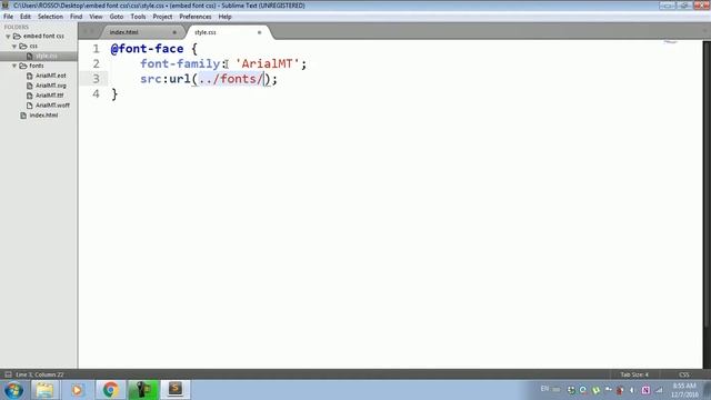 CSS  How to embed font css?