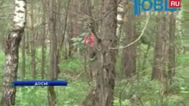 Поисково-спасательная служба региона получит новую технику для поиска пропавших туристов