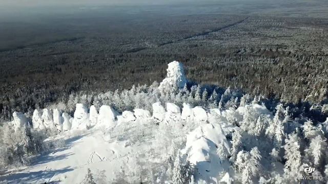 Дикая природа России. Бескрайняя тайга Пермского края