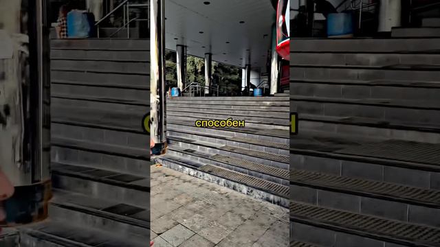 Сломал аппарат😱 #силомер #литвин #бокс #удар