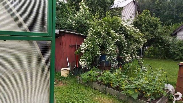 Дача Наташи