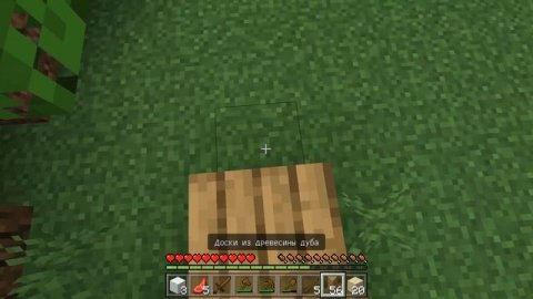 Первая степень выживания в Minecraft