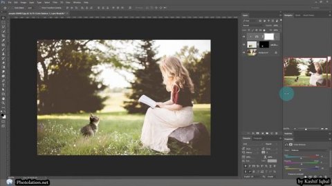 Learn How to Manipulate Cat on Grass Using Photoshop Brush Tools