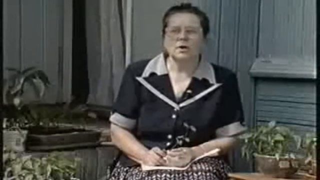 Выращивание перца  Посадка семян   часть 1