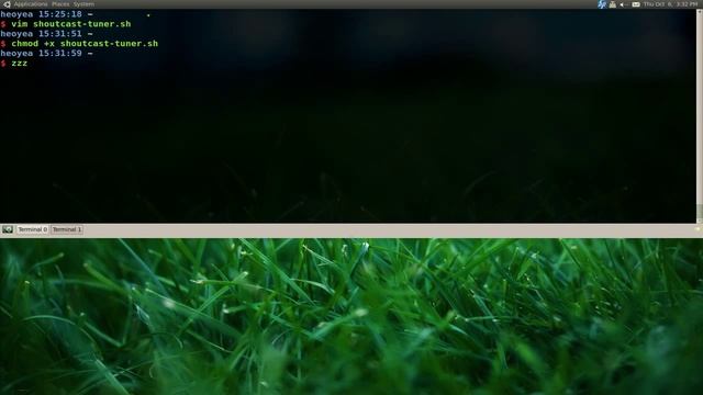 Shoutcast Tuner - Script - Ubuntu 10.10
