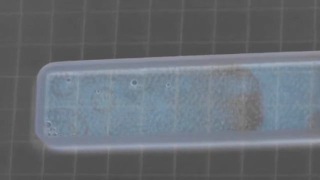 Belousov-Zhabotinsky Reaction On The Planar Mesofluidic Chip. Visualization Using Digital Invertor.