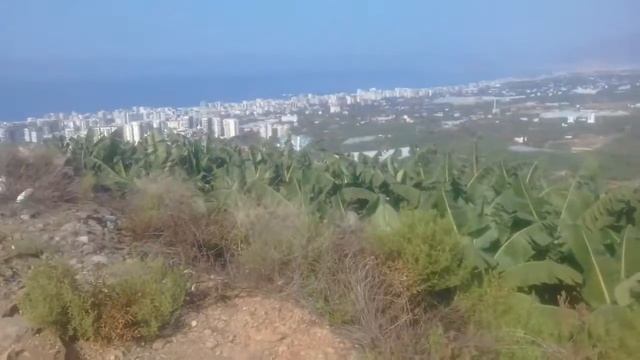 Коп в Турции , Аланья, Махмутлар . Древнеримский город Наула.