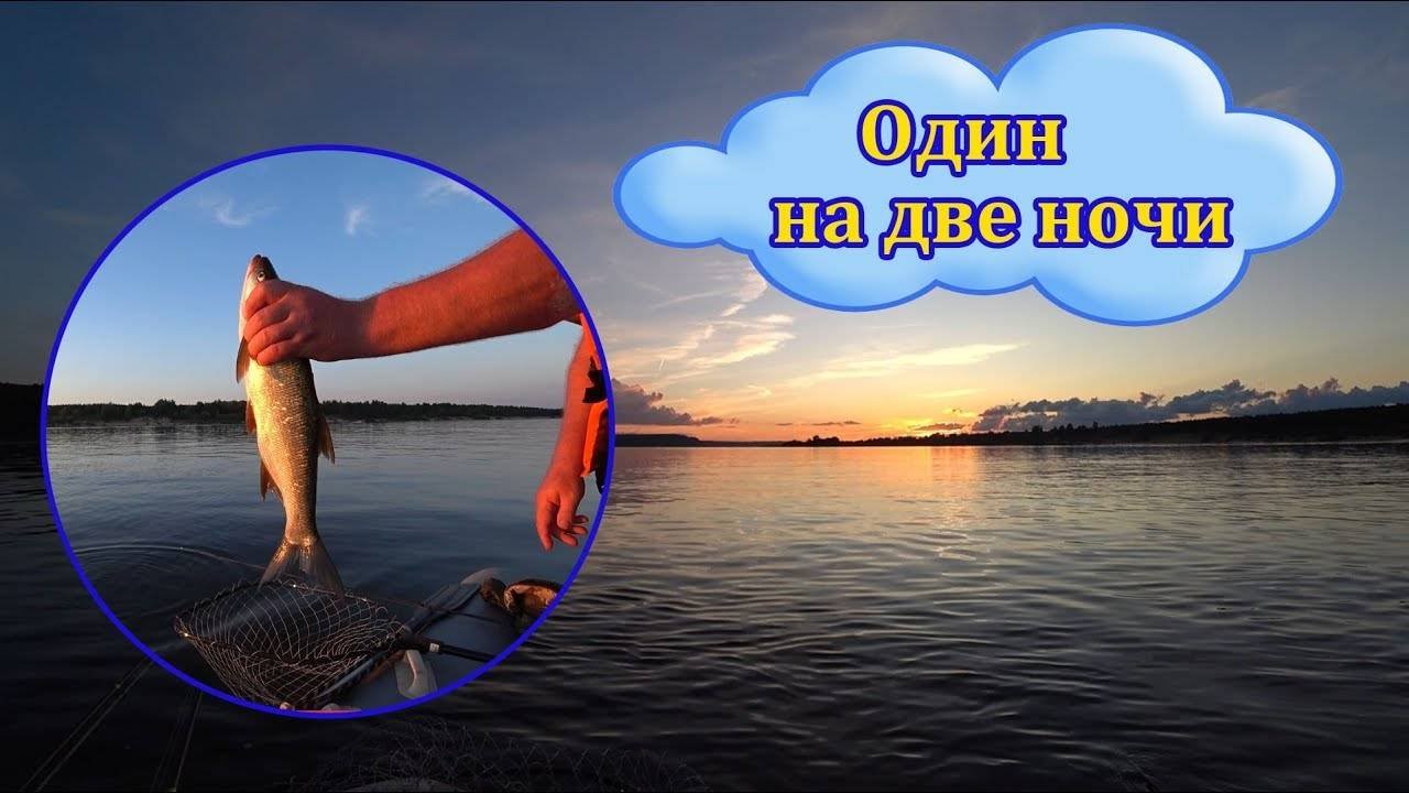 Жерех радует. Одинокая рыбалка на два дня и две ночи.