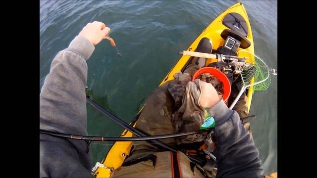 Blackfish Fishing With Berkley Gulp While Kayak Fishing