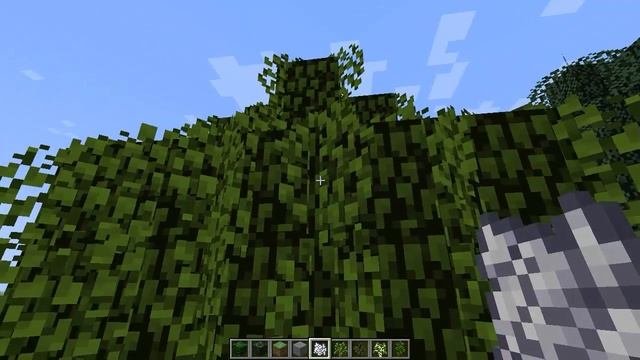 Minecraft Mods 1.6: Better Grass & leaves [Forge]
