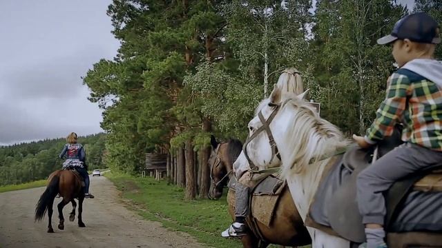 Прогулки на лошадях в Белокурихе