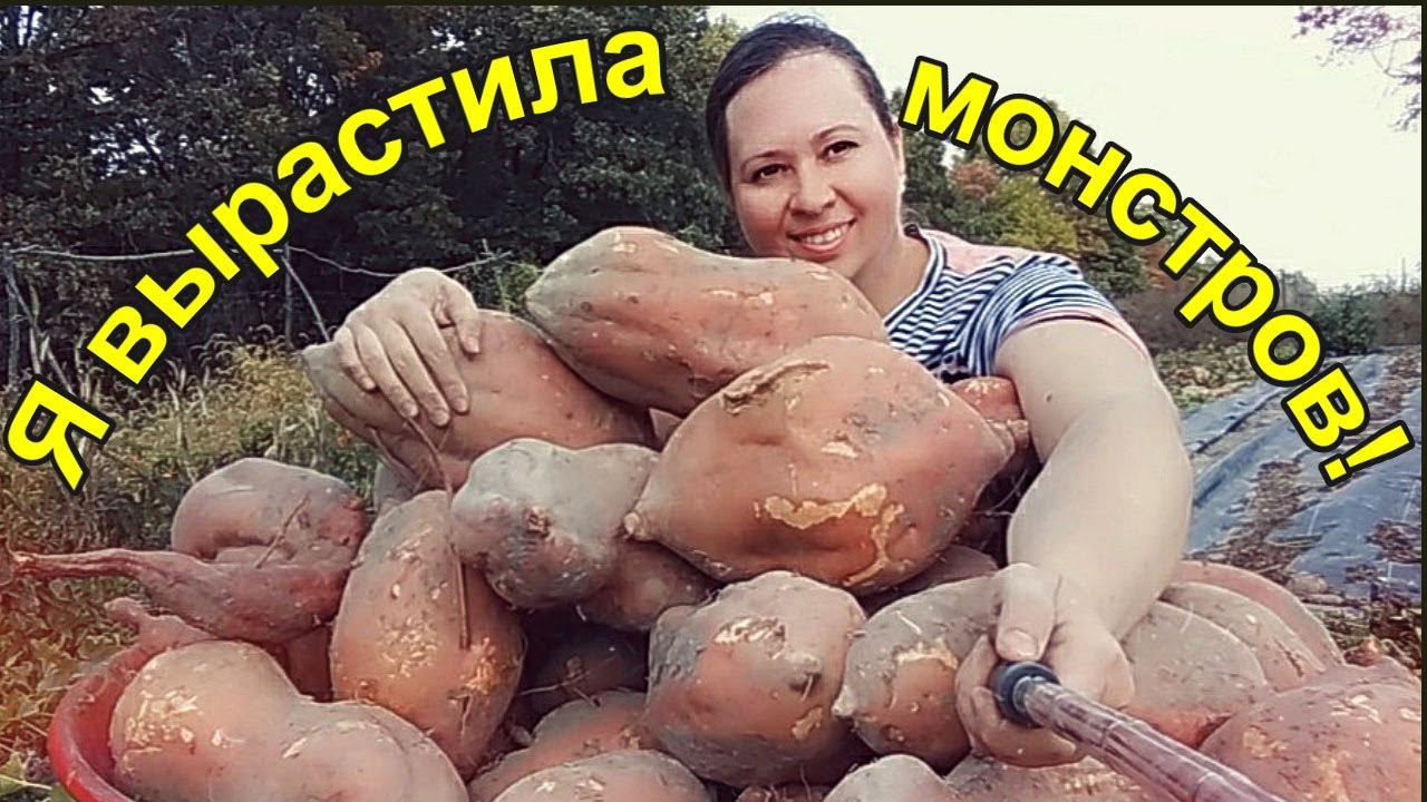 Я вырастила монстров!!!