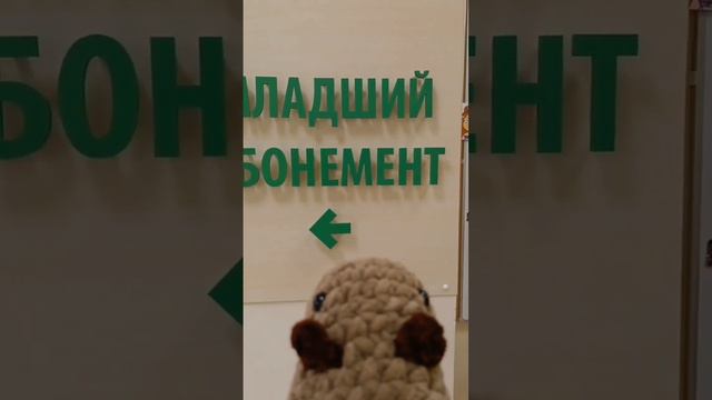 Пробежимся с капибарой Соней по библиотеке 😉