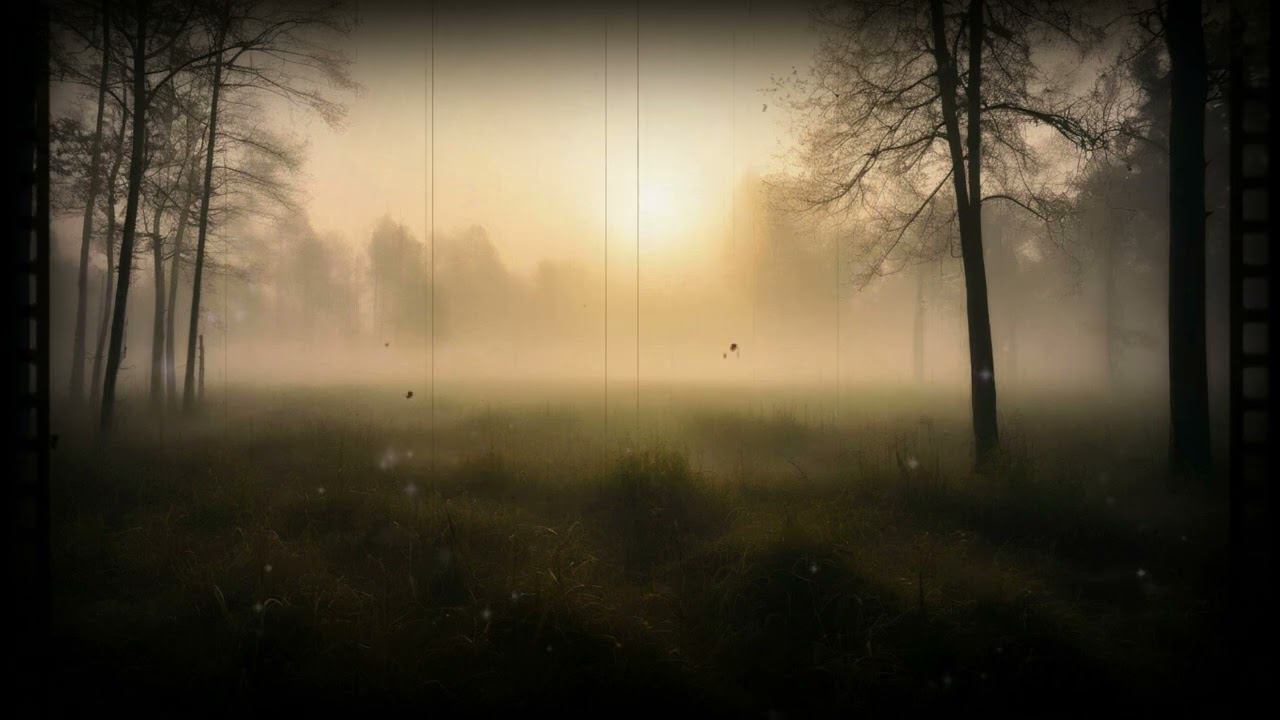 Khmuryy Sentyabr - Лес