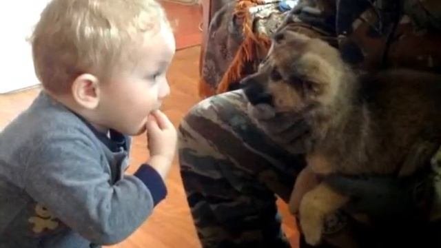 Ребята и Волчата