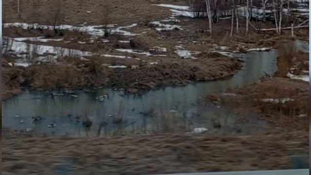 На семинар