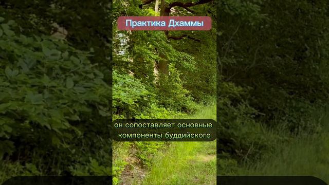 Практика Дхаммы.