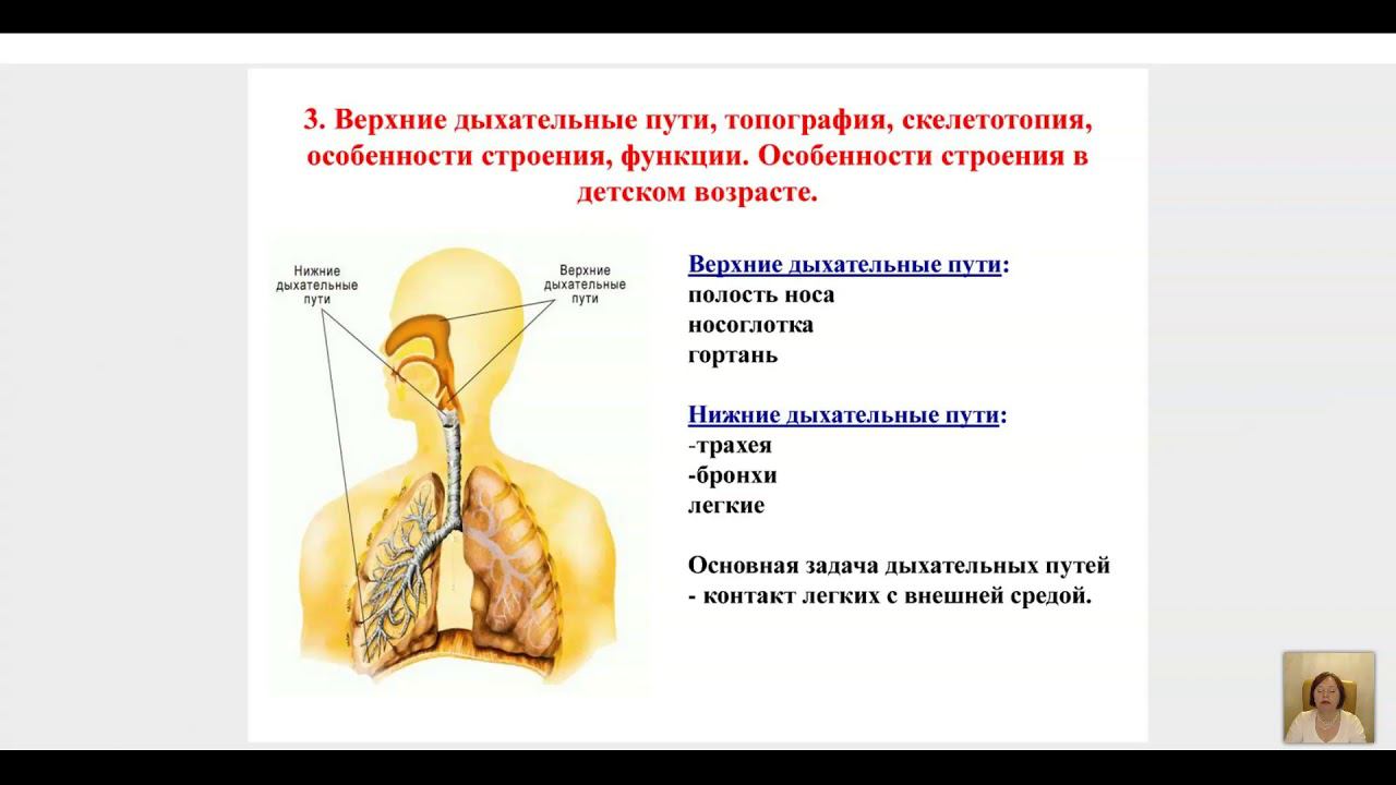 Вечернее занятие 2 марта 2021