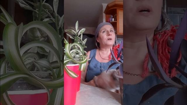 старое семейное видео. мы с Мусенькой.26 сентября 2020 год.