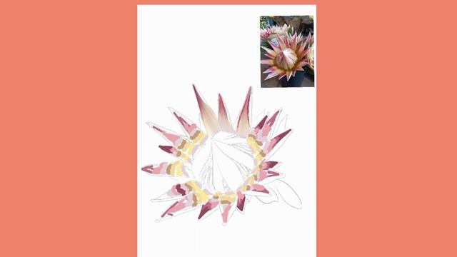 Nixpix art of the day Protea