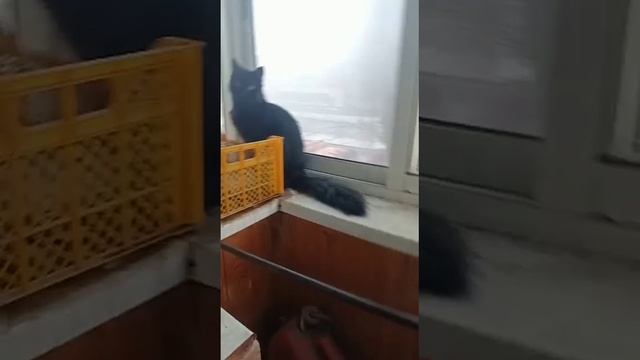 на балконе