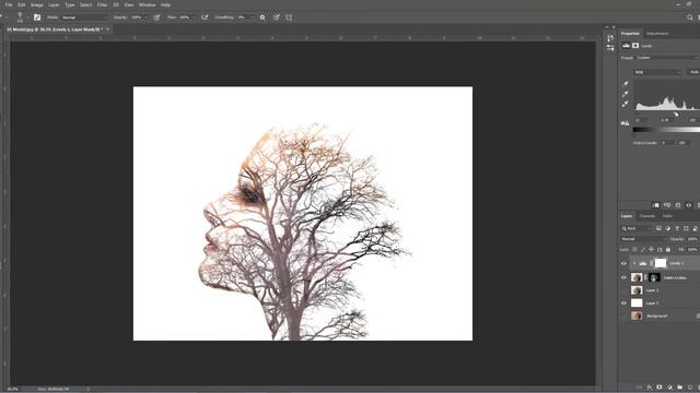 Model and Tree Double Exposure - Photoshop Manipulation Tutorial
