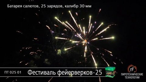 ПТ02501 Фестиваль фейерверков-25