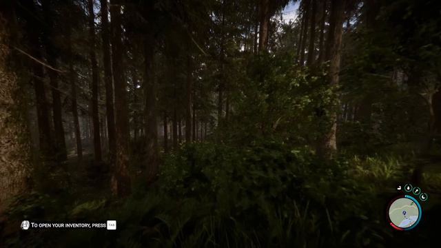 sons of the forest gameplay test
