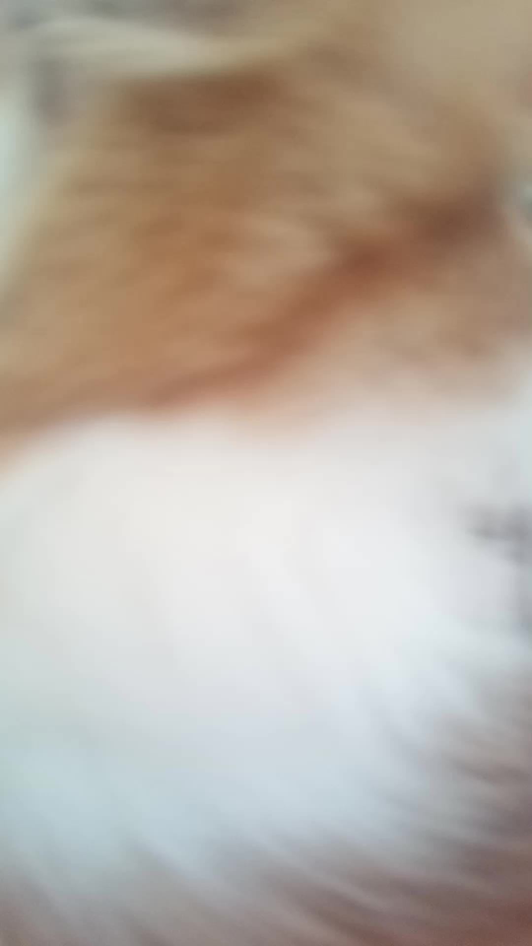 котик