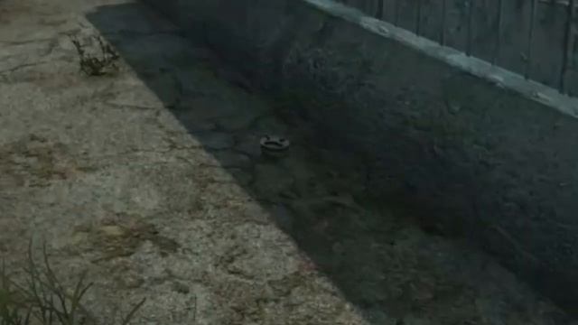 Толерантный берег в DayZ