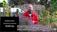 ПОЛЕЙТЕ ЖИЖЕЙ И ПЕСОК СТАНЕТ ПЛОДОРОДНЫМ! Улучшение песчаных почв. Есть только 2 реальных способа.