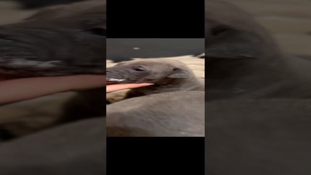 17-11-2023