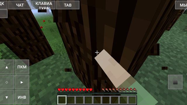 Запустил Minecraft Java на телефоне. Minecraft Bedrock лучше.